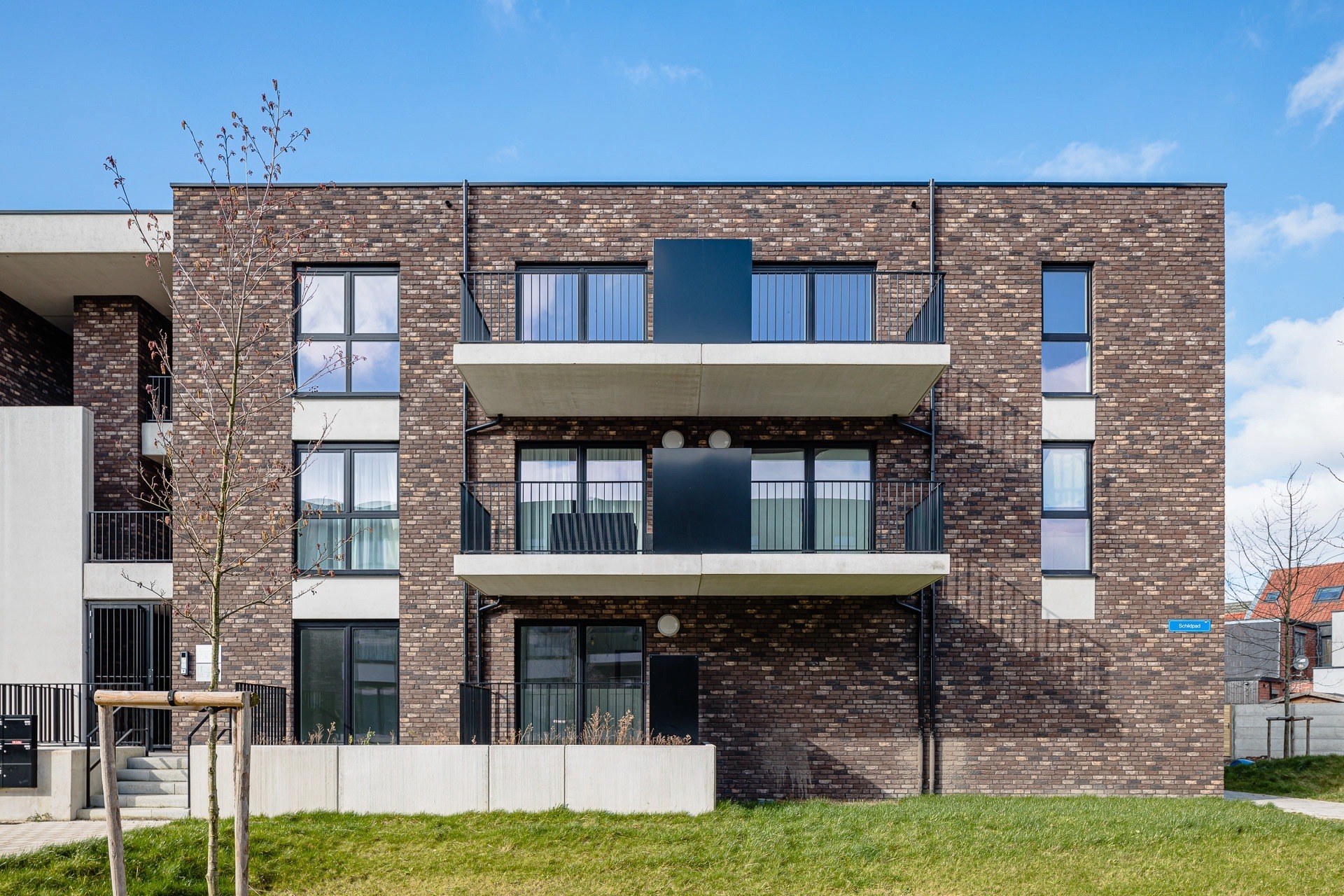 TURK10516C_turnhout_schildpad3-web-4
